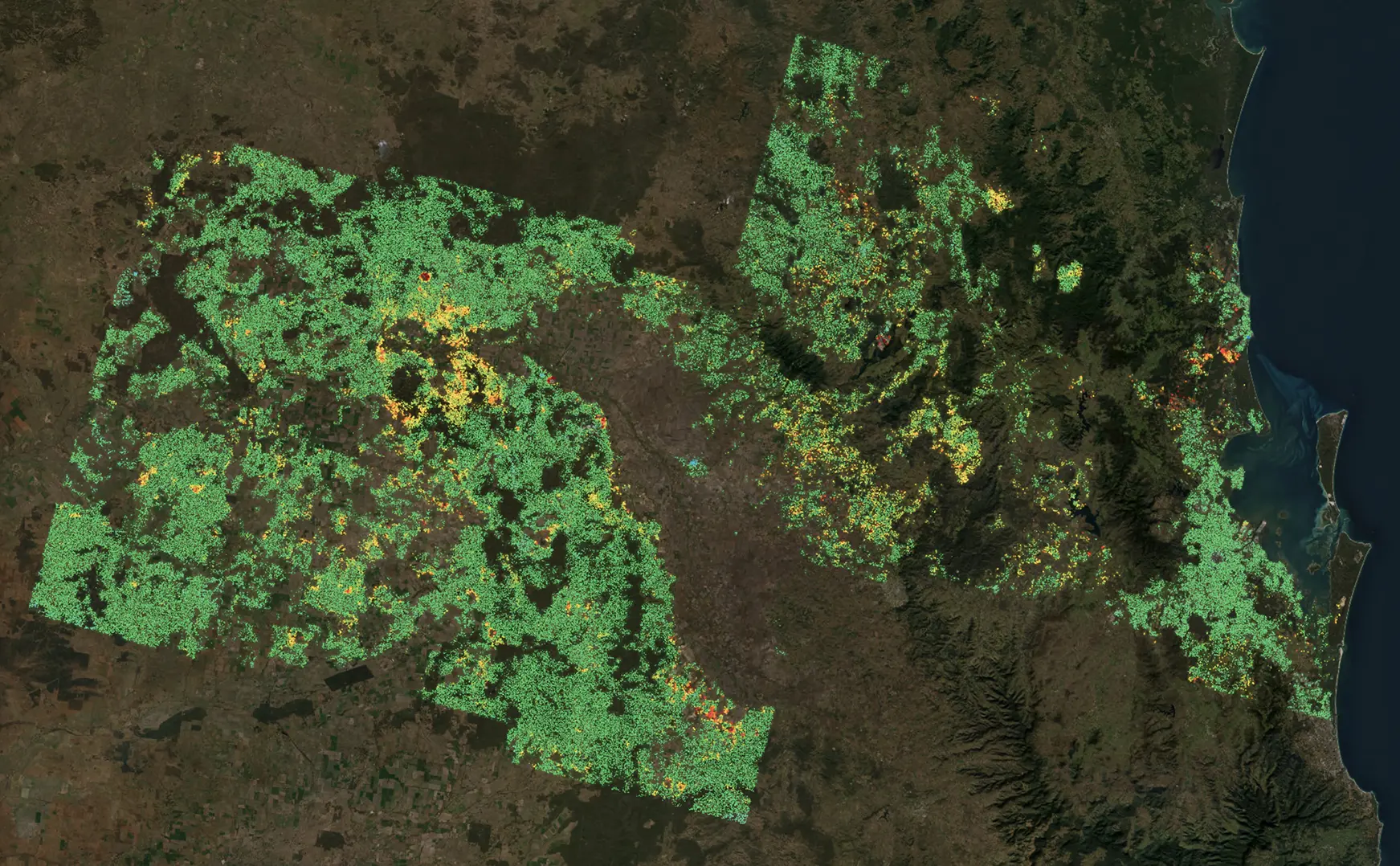 InSAR ground-motion measurement points across the Surat Basin and Southeast Queensland, 2021-2026 — stable ground in green, subsidence in yellow through red, from the Surat gas fields to the coast